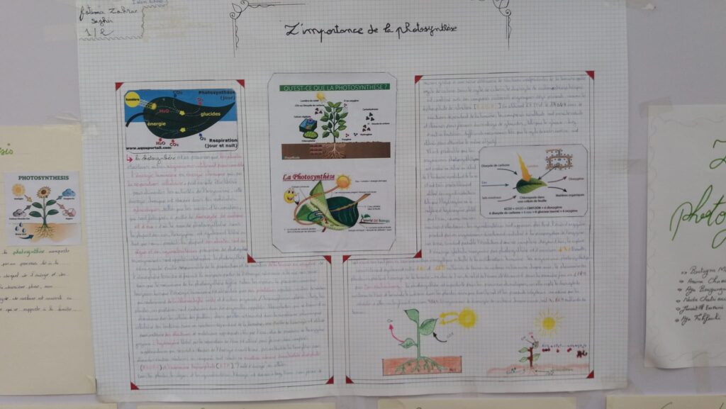 مجلة علمية 2