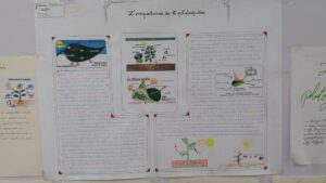 مجلة علمية 2